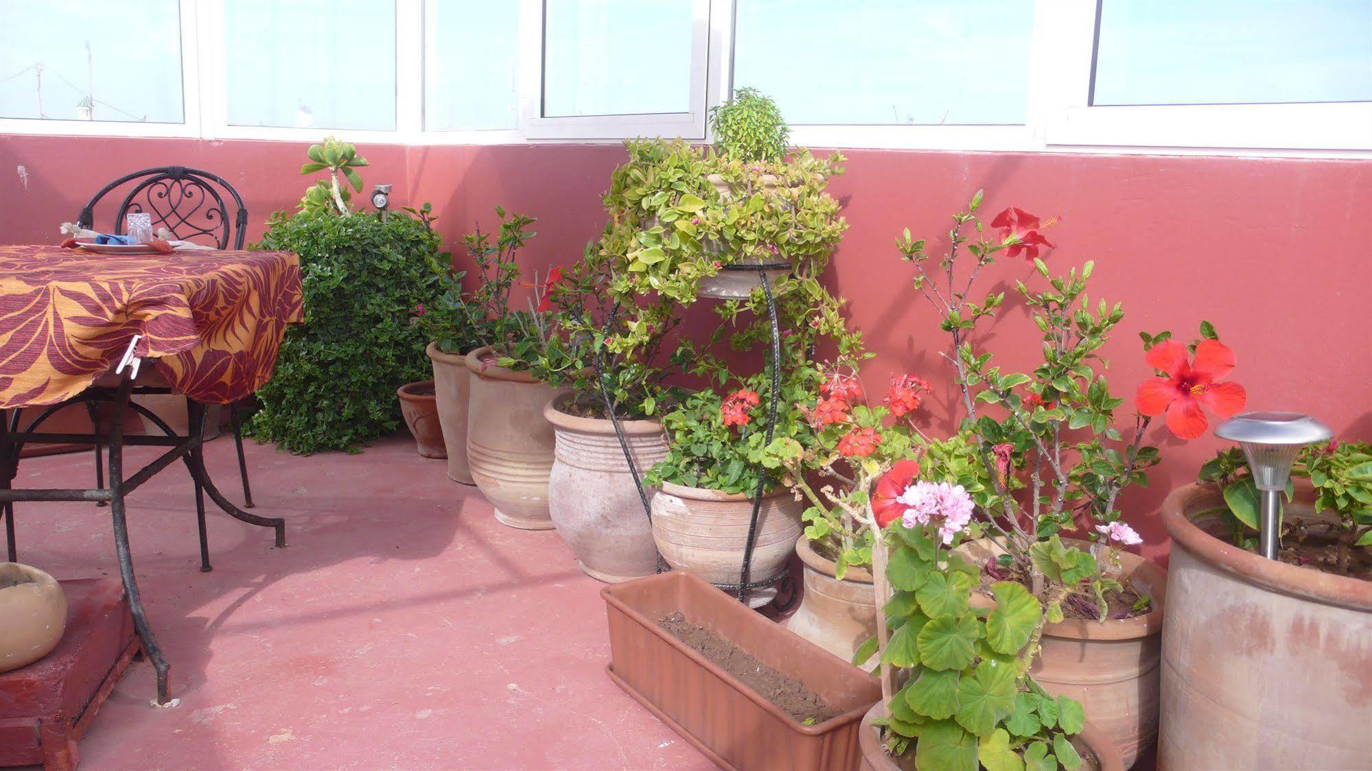 Riad Dar Latigeo Essaouira Exterior photo